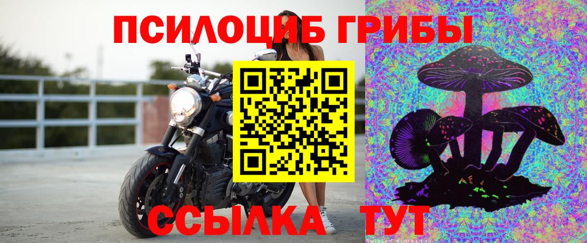Галлюциногенные грибы GOLDEN TEACHER Электрогорск