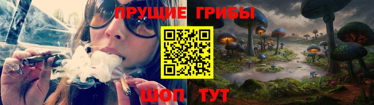 Электрогорск  Псилоцибиновые грибы GOLDEN TEACHER  Вход с VPN  Псилоцибиновые грибы Psilocybe 
